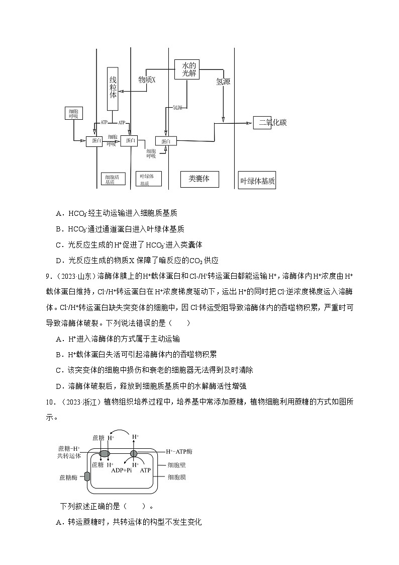 备战2026年高考生物真题分类汇编专题03物质进出细胞(原卷版+解析版）第3页