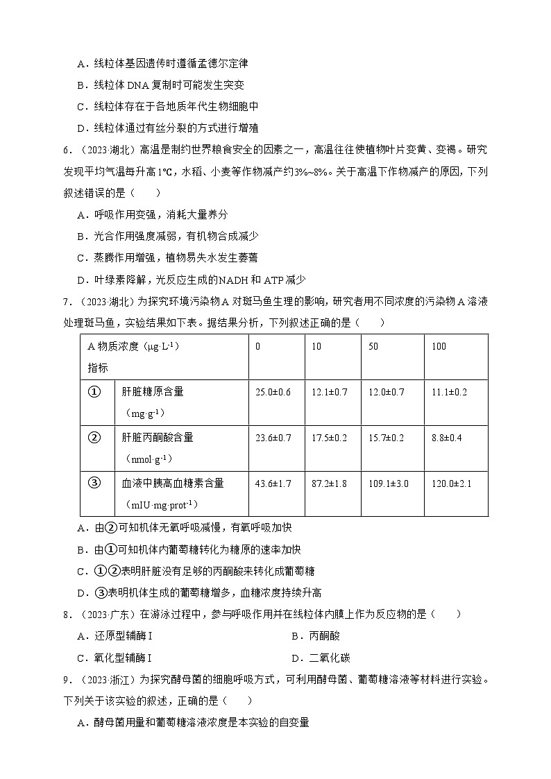 备战2026年高考生物真题分类汇编专题05呼吸作用(原卷版+解析版）第2页