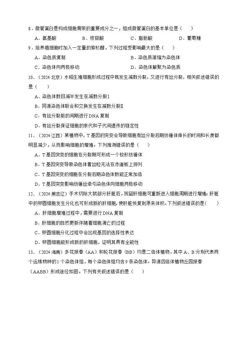 备战2026年高考生物真题分类汇编专题07有丝分裂和减数分裂(原卷版+解析版）第3页