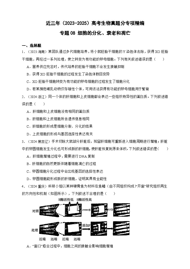 备战2026年高考生物真题分类汇编专题08细胞的分化、衰老和凋亡(原卷版+解析版）第1页