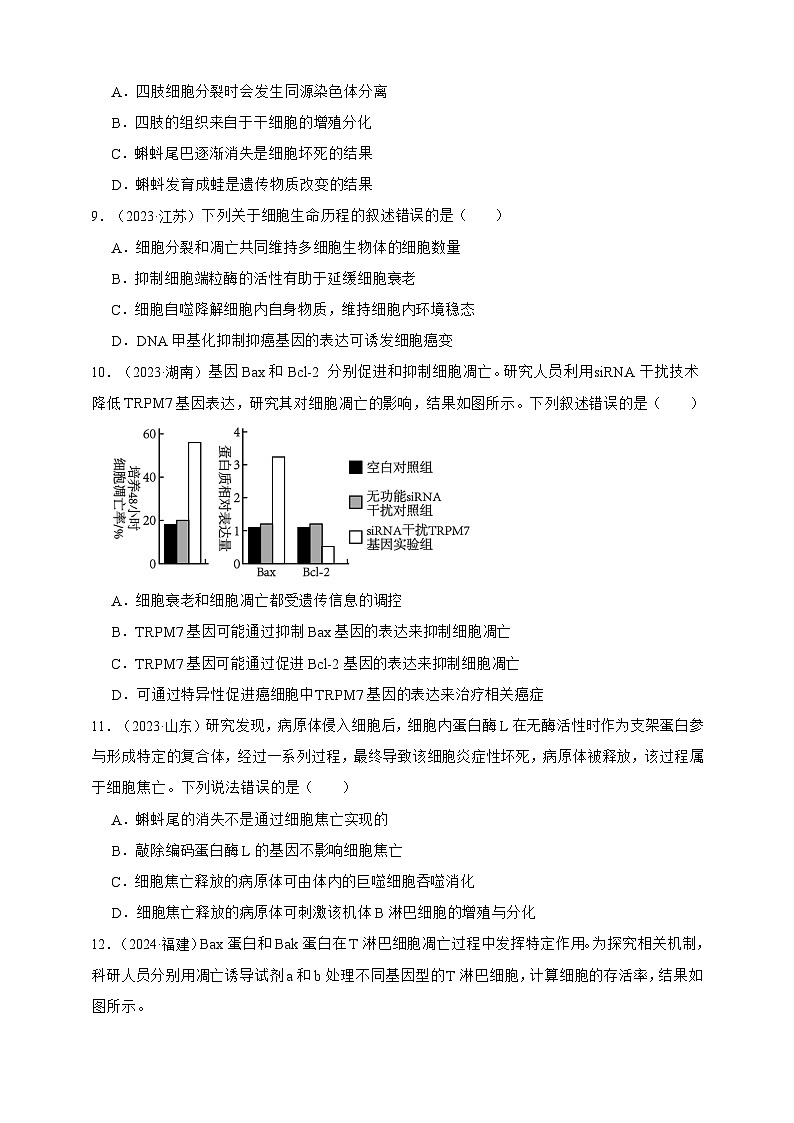 备战2026年高考生物真题分类汇编专题08细胞的分化、衰老和凋亡(原卷版+解析版）第3页
