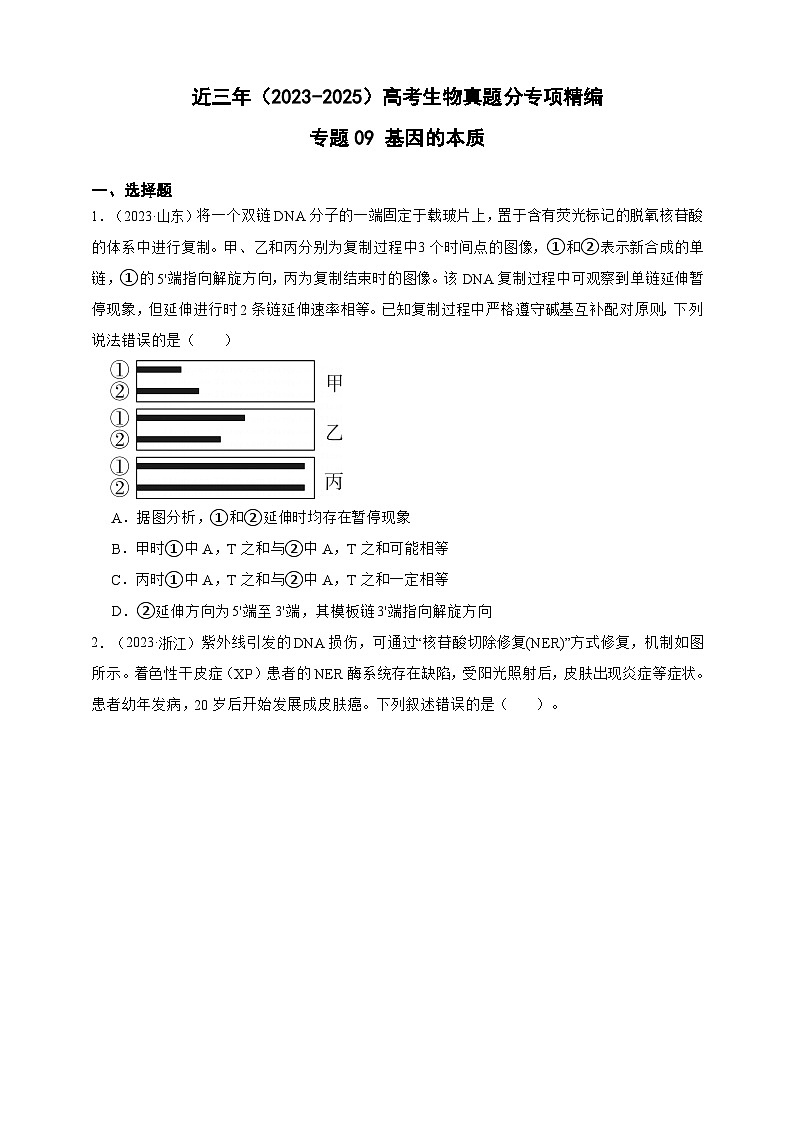 备战2026年高考生物真题分类汇编专题09基因的本质(原卷版+解析版）第1页