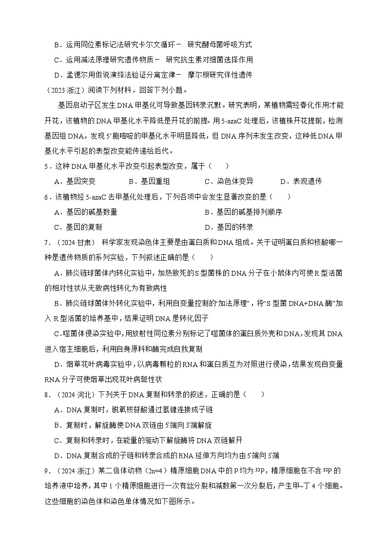 备战2026年高考生物真题分类汇编专题09基因的本质(原卷版+解析版）第3页