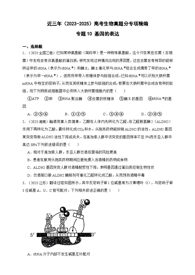 备战2026年高考生物真题分类汇编专题10基因的表达(原卷版+解析版）第1页