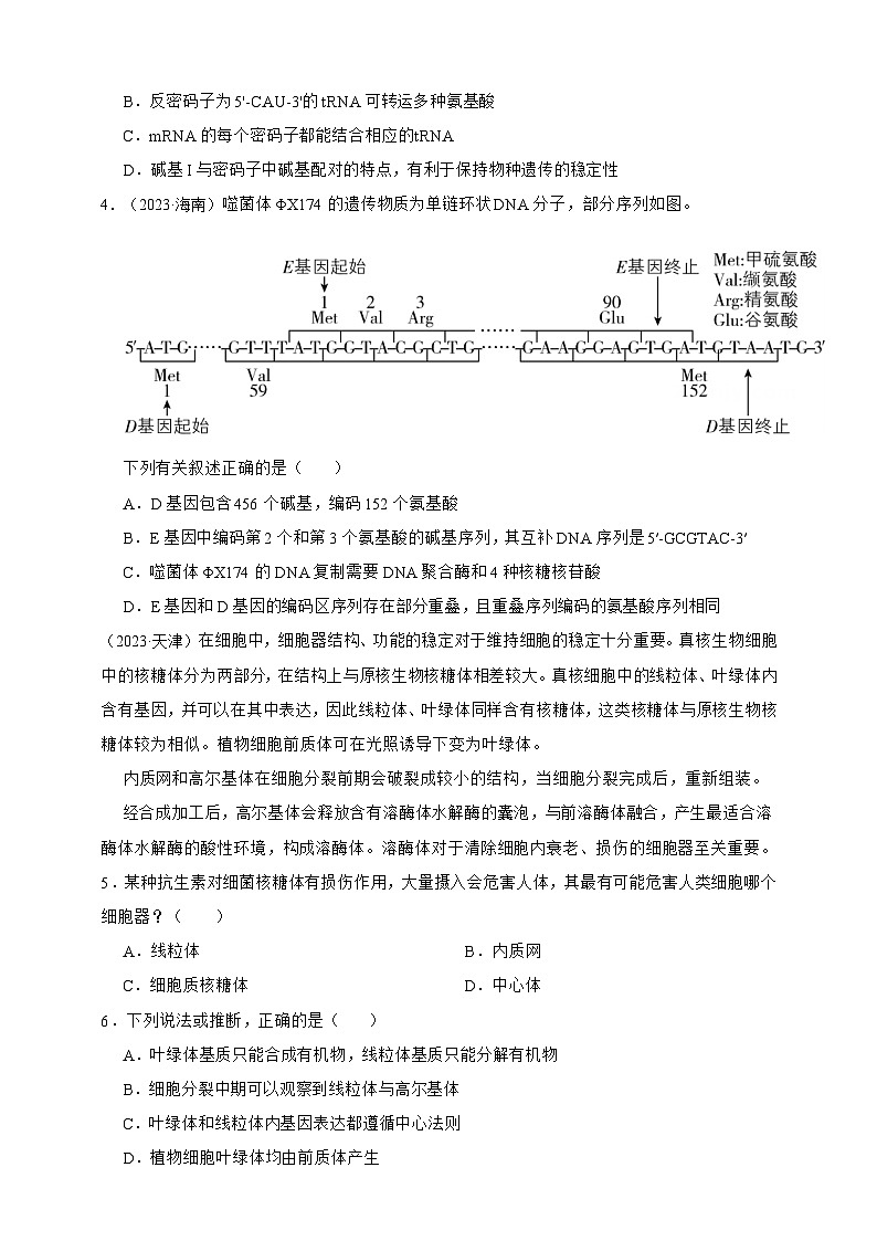 备战2026年高考生物真题分类汇编专题10基因的表达(原卷版+解析版）第2页