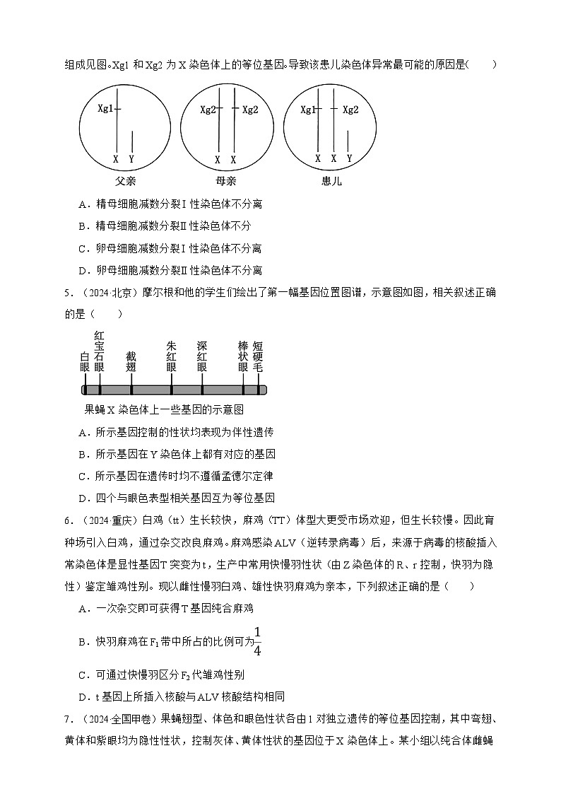 备战2026年高考生物真题分类汇编专题12伴性遗传和人类遗传病(原卷版+解析版）第2页