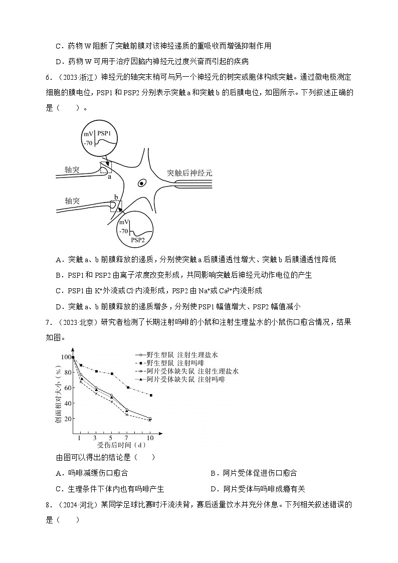 备战2026年高考生物真题分类汇编专题16神经调节(原卷版+解析版）第2页