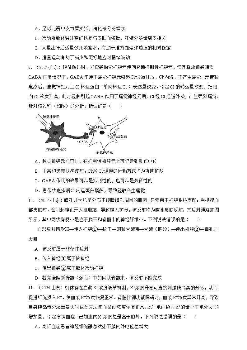 备战2026年高考生物真题分类汇编专题16神经调节(原卷版+解析版）第3页