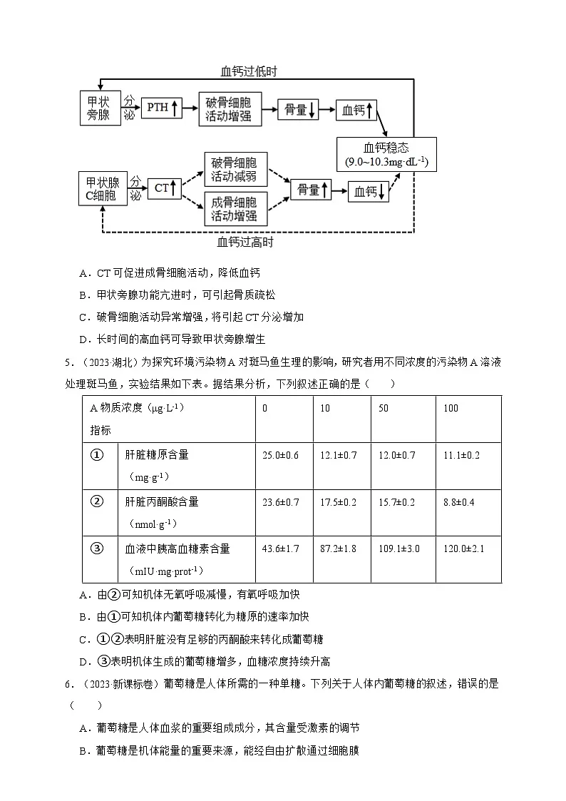备战2026年高考生物真题分类汇编专题18体液调节(原卷版+解析版）第2页