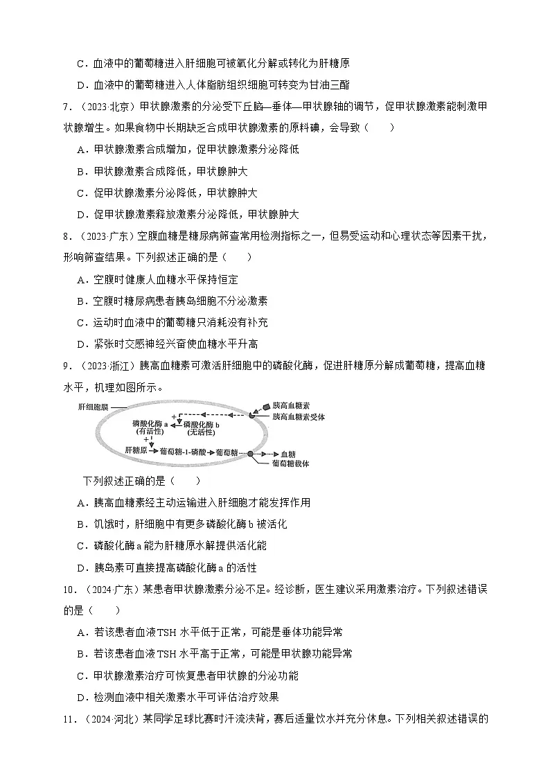 备战2026年高考生物真题分类汇编专题18体液调节(原卷版+解析版）第3页