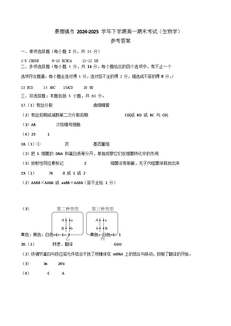 江西省景德镇市2024-2025学年高一下学期6月期末质量检测生物答案第1页