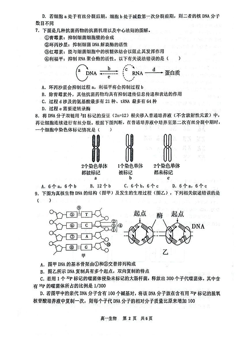 江西省景德镇市2024-2025学年高一下学期6月期末质量检测生物试卷（图片版）第2页