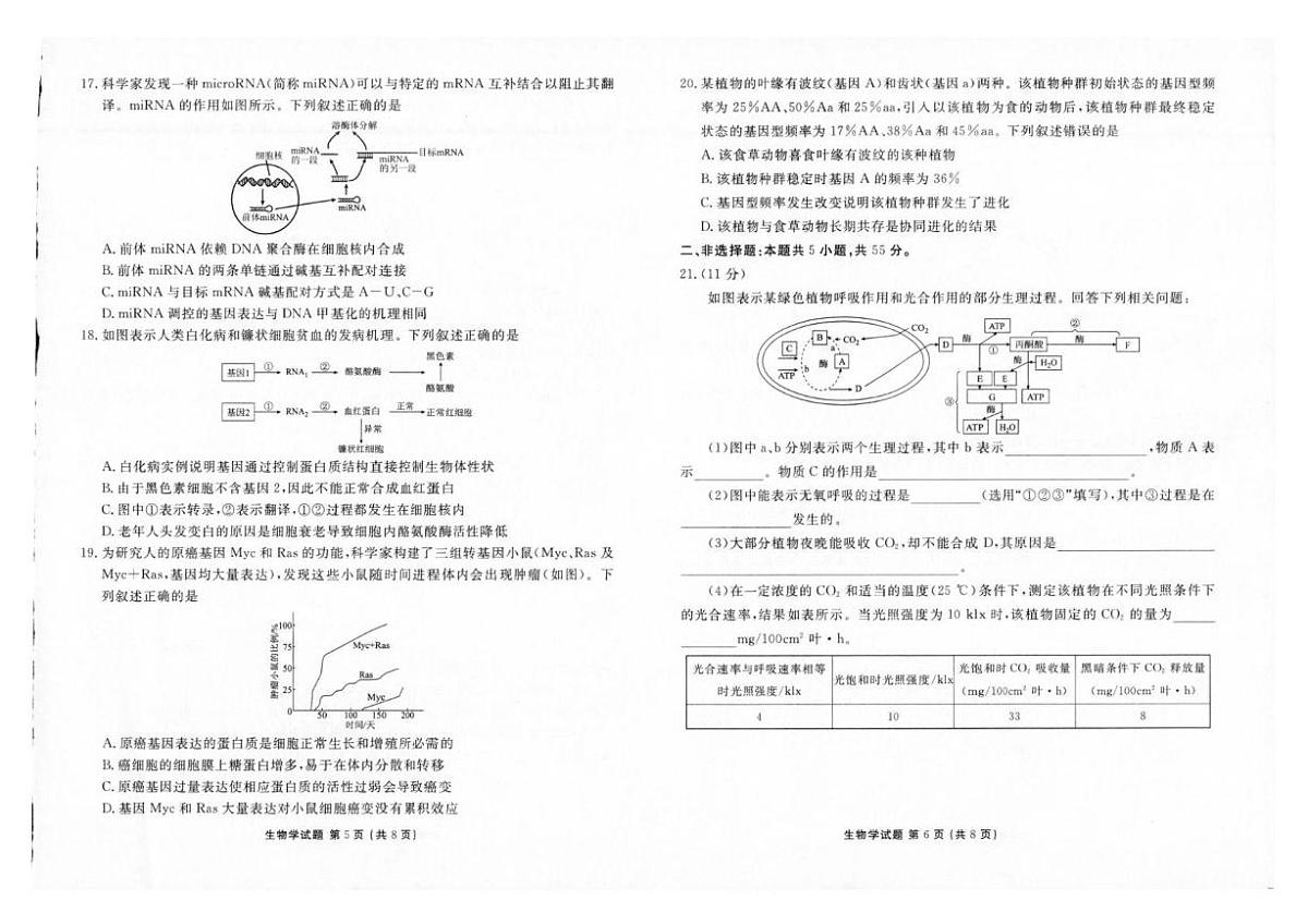 云南省曲靖市宣威市部分学校2024-2025学年高一下学期学业水平检测生物试卷（图片版，有解析）第3页