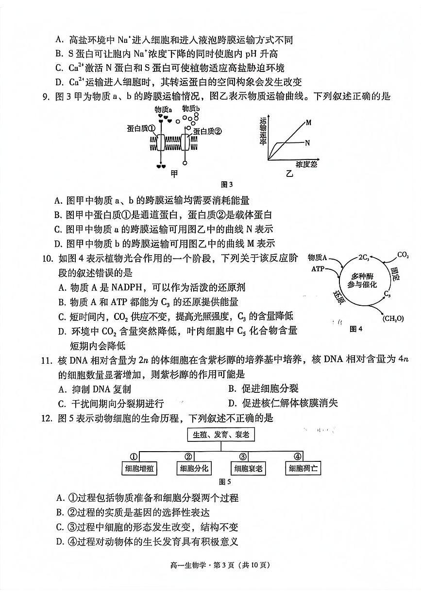 云南省玉溪市2024-2025学年高一下学期期末教学质量检测生物试卷（扫描版，有答案）第3页