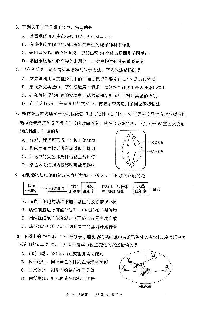 福建省宁德市2024-2025学年高一下学期6月期末质量检测生物试卷（图片版）第2页