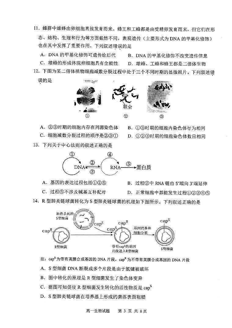 福建省宁德市2024-2025学年高一下学期6月期末质量检测生物试卷（图片版）第3页