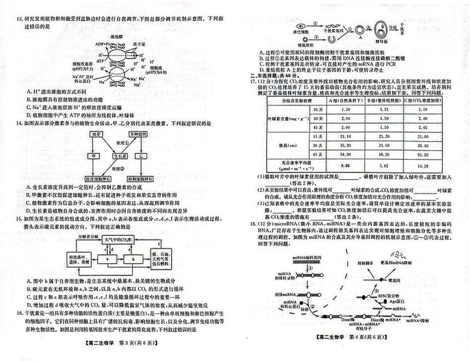 广西钦州市2024-2025学年高二下学期期末教学质量监测生物试卷（图片版，有答案）第2页