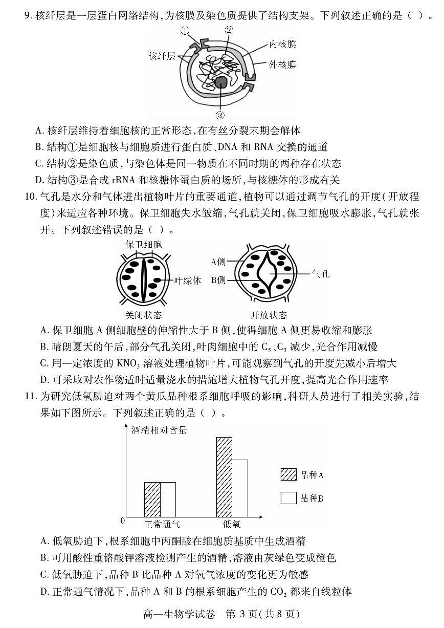 湖北省黄石市2025春季学期高一下学期期末统一测试生物学试卷（扫描版，含答案）第3页