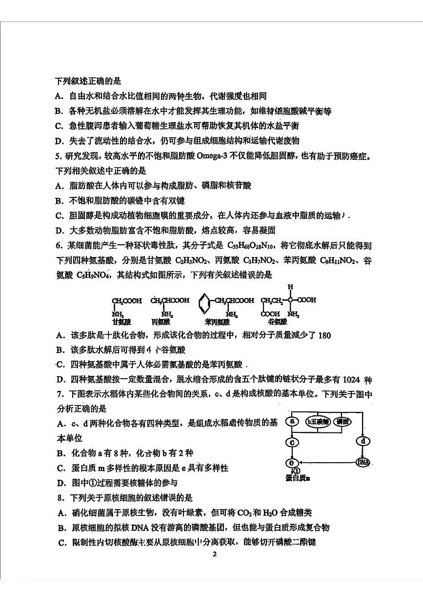 吉林省长春市东北师范大学附属中学2024-2025学年高二下学期期末生物试题(图片版无答案)第2页