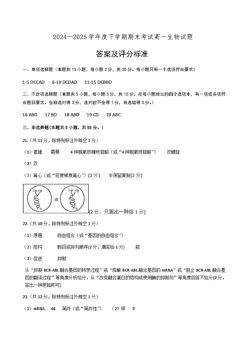 辽宁省重点中学协作校2024-2025学年高一下学期期末考试生物答案第1页