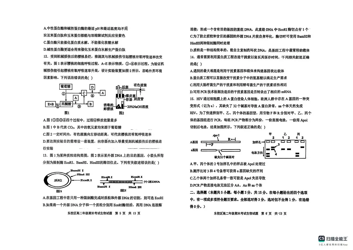 高二生物第3页