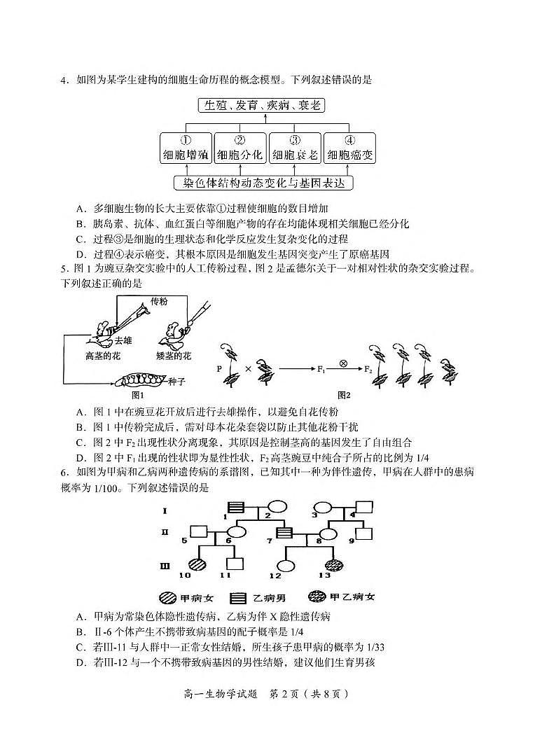湖南省郴州市2024-2025学年高一下学期期末教学质量监测生物试卷（图片版，有答案）第2页
