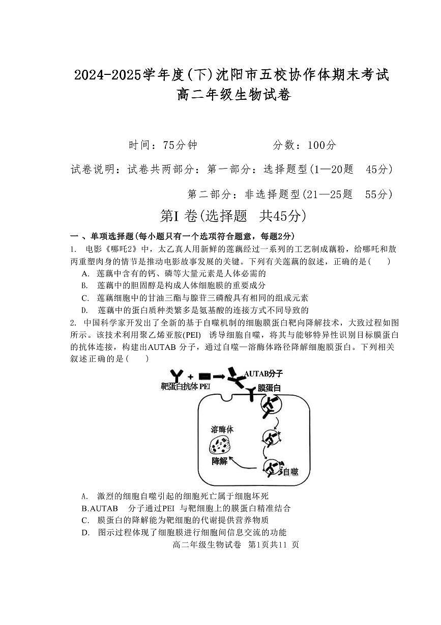辽宁省沈阳市五校协作体2024-2025学年高二下学期期末生物试卷（PDF版，含答案）第1页