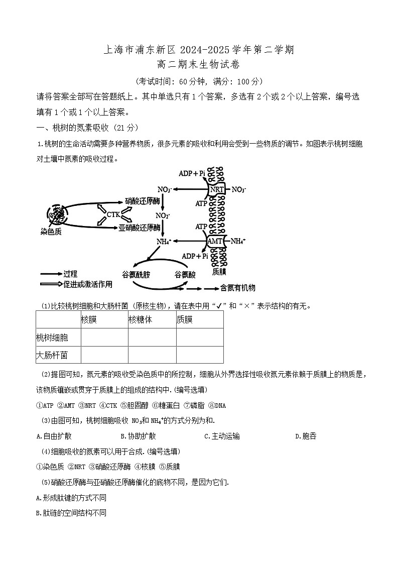 上海市浦东新区2024-2025学年第二学期高二期末生物试卷（无答案）第1页