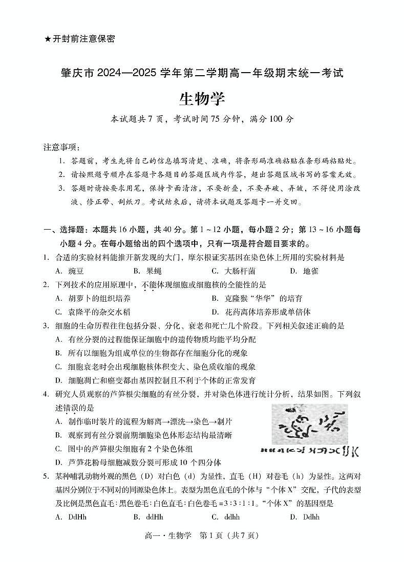 广东省肇庆市2024-2025学年高一下学期期末统一考试生物试卷（图片版有解析）第1页