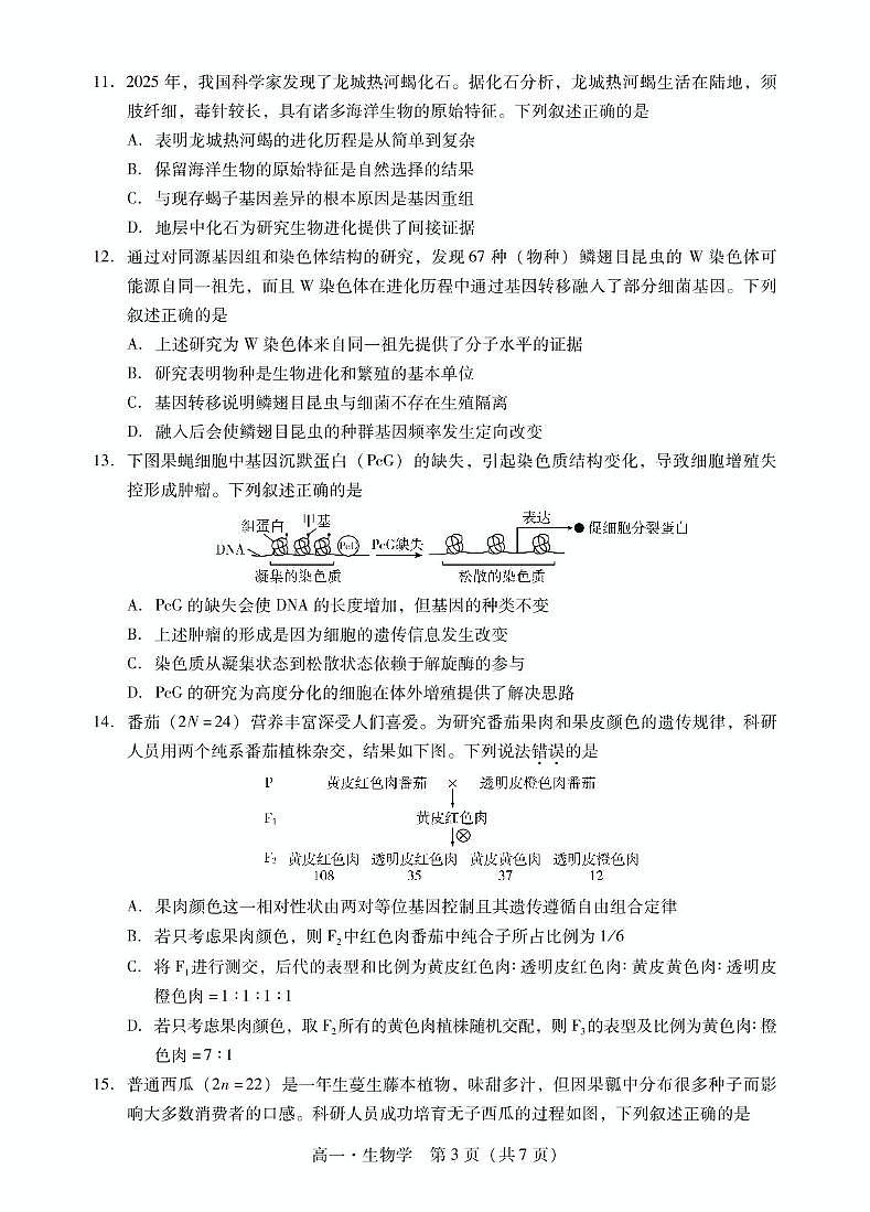 广东省肇庆市2024-2025学年高一下学期期末统一考试生物试卷（图片版有解析）第3页