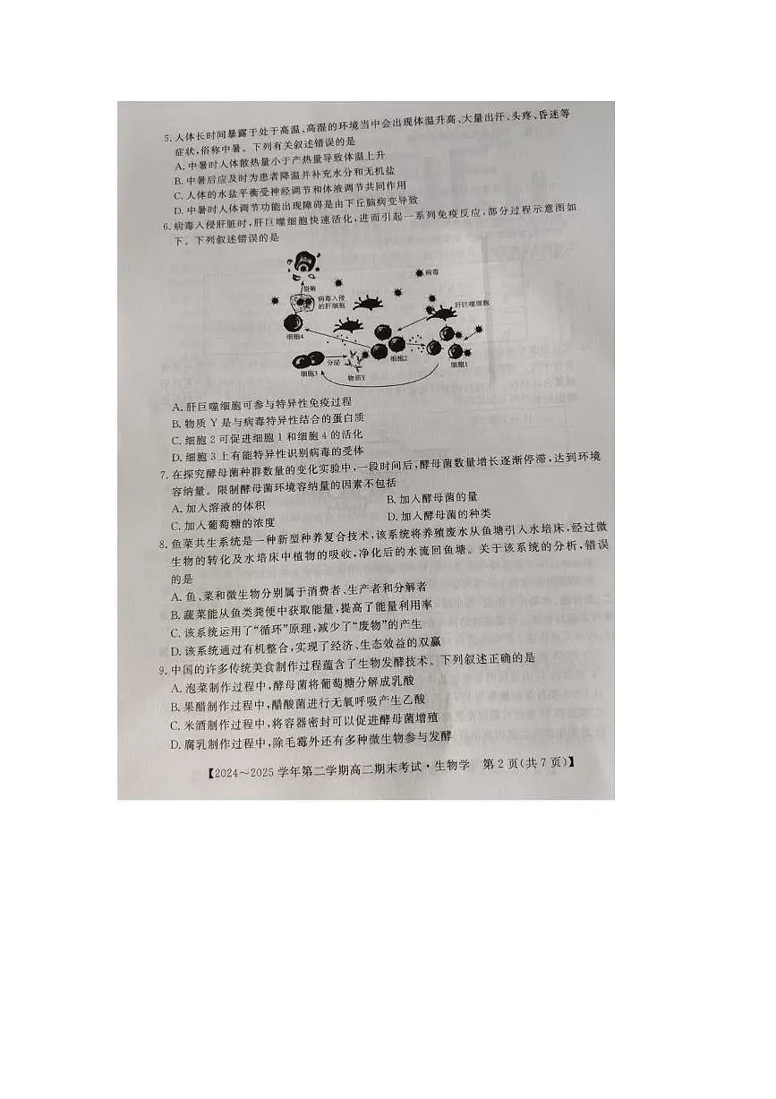 湖南省怀化市2024-2025学年高二下学期6月期末生物试卷（图片版，含解析）第2页