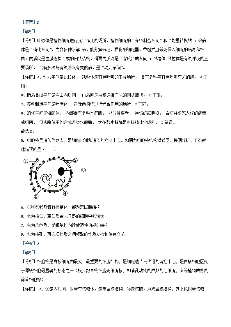 广西百色市2024_2025学年高一生物上学期1月期末试题含解析第3页