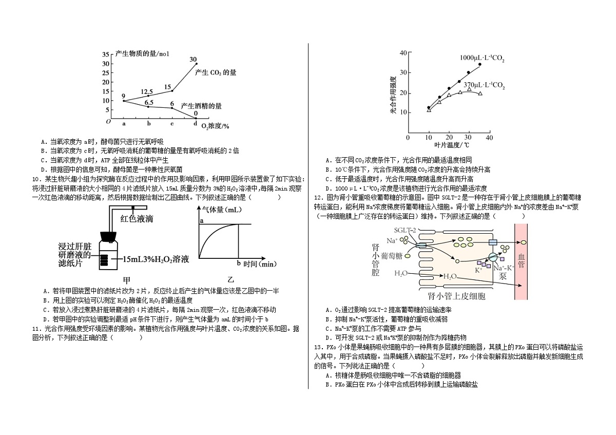 黑龙江省大庆市2024_2025学年高一生物下学期开学考试第2页