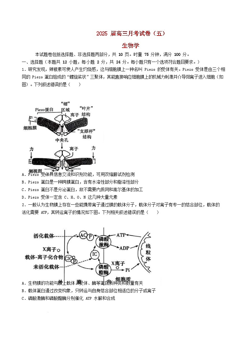 湖南省长沙市2024_2025学年高三生物上学期月考五试卷含解析第1页