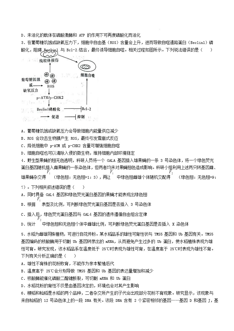 湖南省长沙市2024_2025学年高三生物上学期月考五试卷含解析第2页