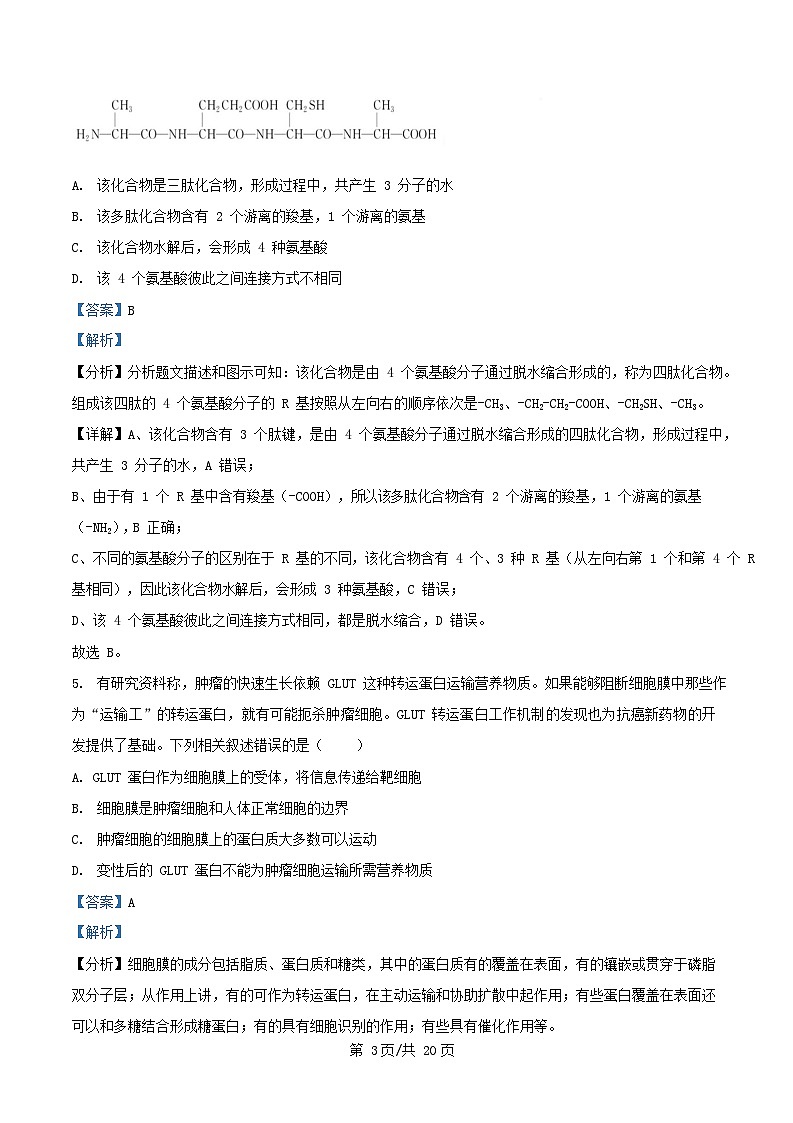 湖南省长沙市芙蓉区2024_2025学年高一生物下学期开学试题含解析第3页