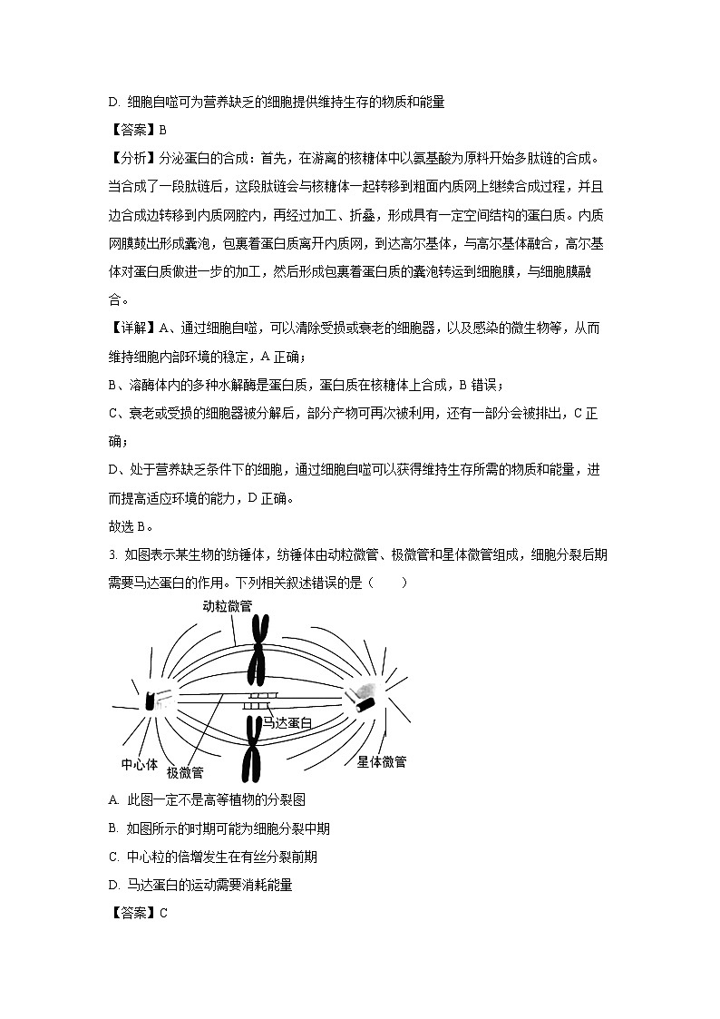 广东省广州市三校2024-2025学年高一下学期期中联考生物试卷（解析版）第2页