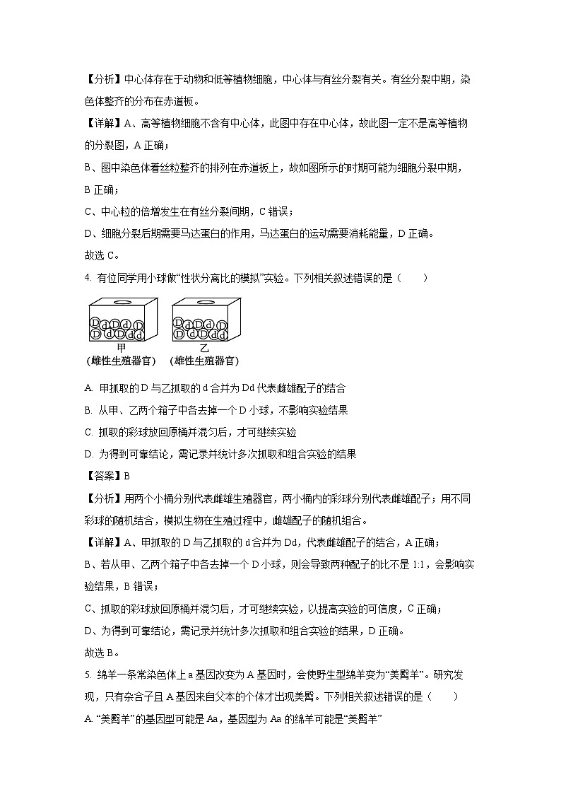 广东省广州市三校2024-2025学年高一下学期期中联考生物试卷（解析版）第3页