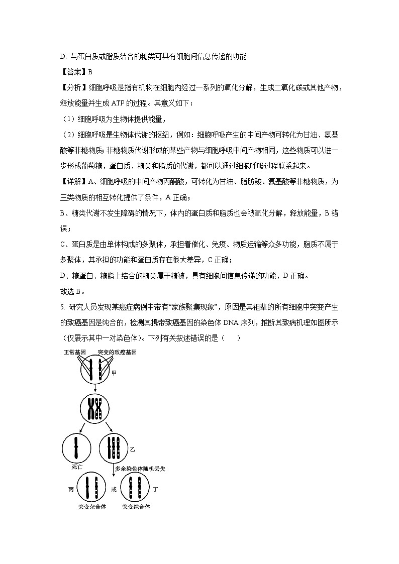甘肃省白银市2025届高三学业水平考试模拟生物试卷（解析版）第3页