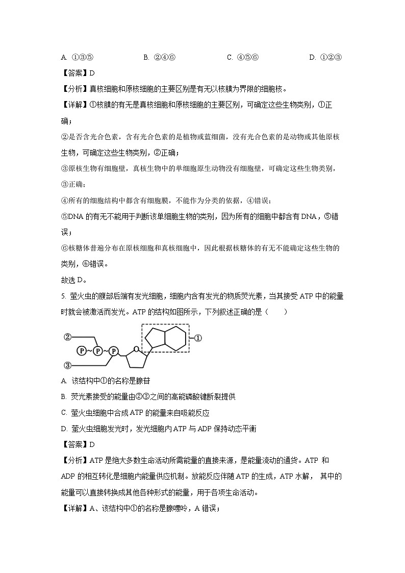 浙江省钱塘联盟2024-2025学年高一下学期期中生物试卷（解析版）第3页