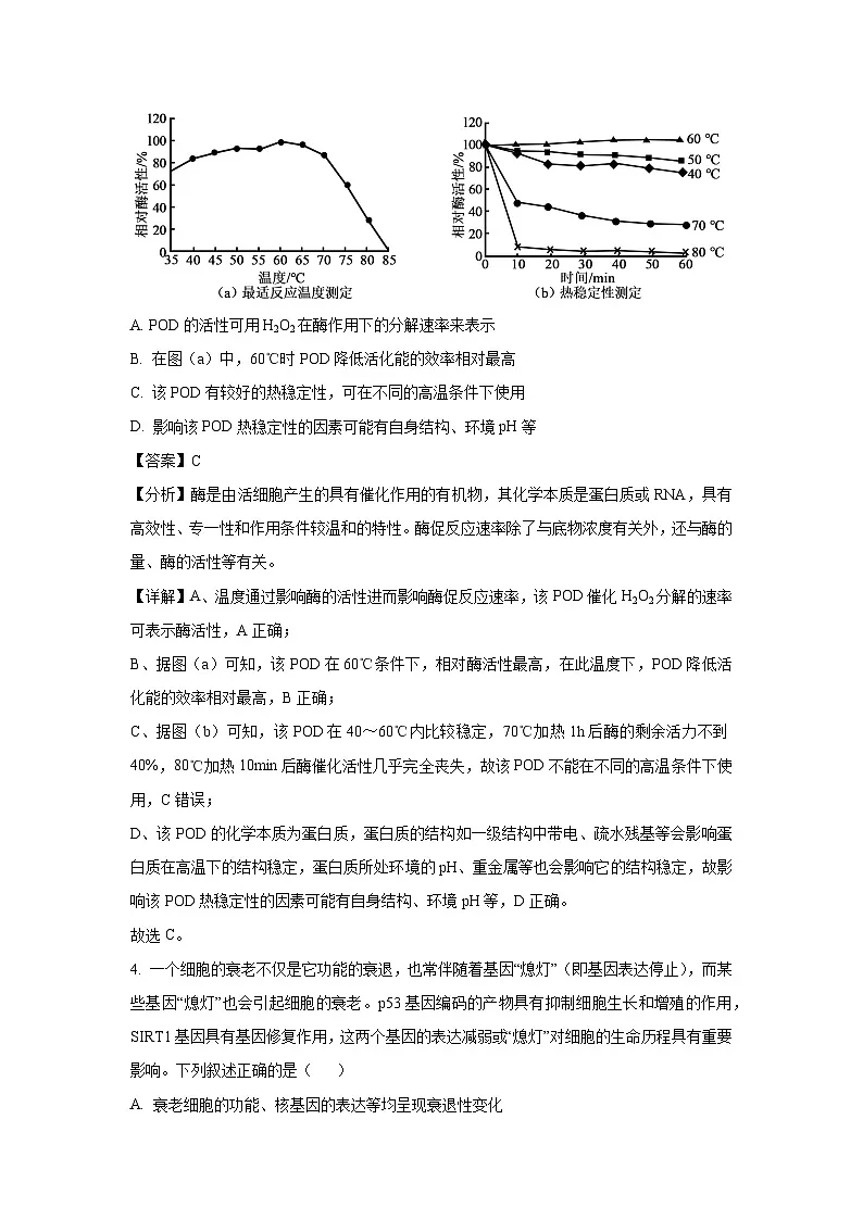 吉林省松原市2025届高三下4月质量检测卷生物试卷（解析版）第3页