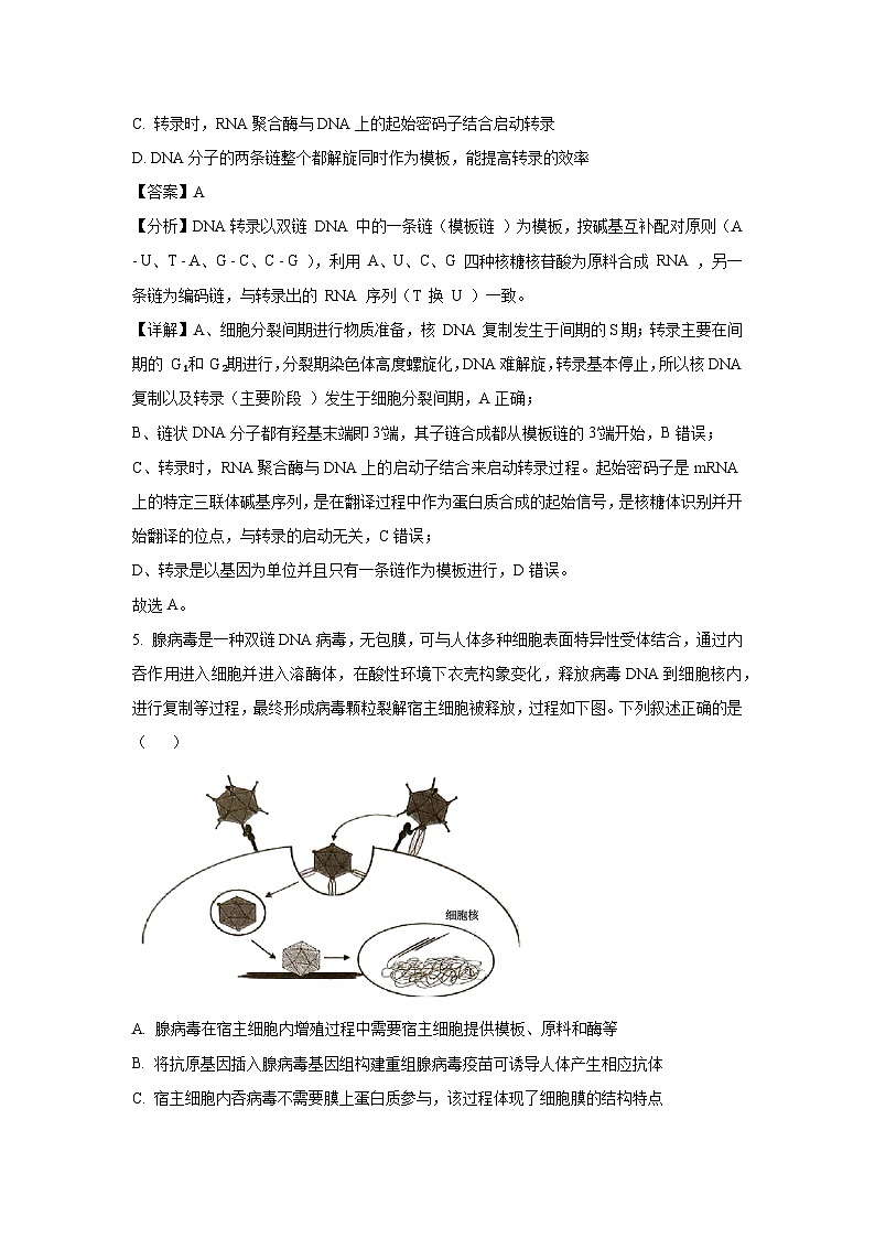 河北省部分学校2025届高三下5月联合检测生物试卷（解析版）第3页