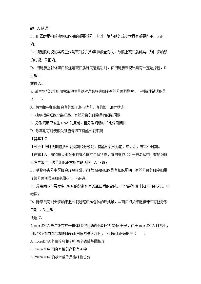 广东省汕尾市2024-2025学年高一上学期1月期末生物试卷（解析版）第3页