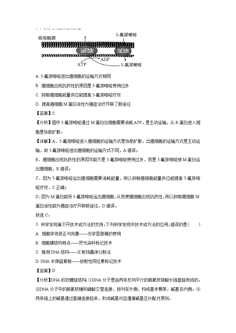 山西省部分学校2025届高三下学期生物冲刺（一）生物试卷（解析版）第2页