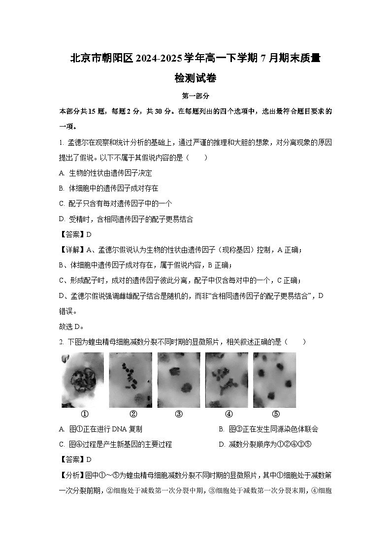 北京市朝阳区2024-2025学年高一下学期7月期末质量检测生物试卷（解析版）第1页