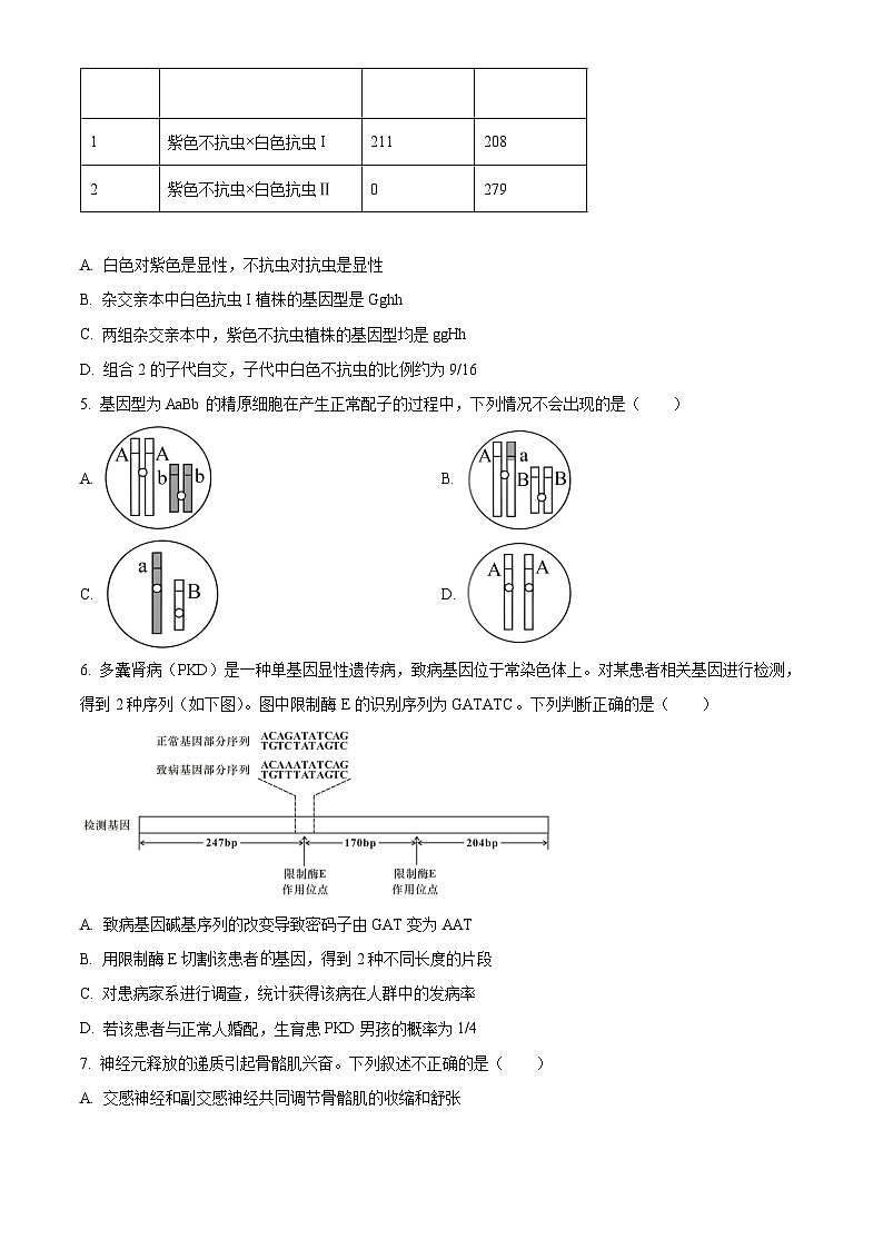 精品解析：北京市石景山区2024-2025学年高三上学期期末考试生物试卷 （原卷版）第2页