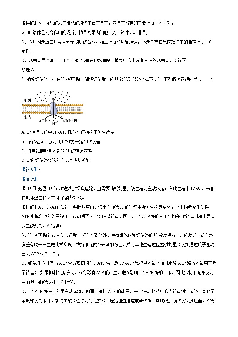 精品解析：北京市石景山区2024-2025学年高三上学期期末考试生物试卷 （解析版）第2页