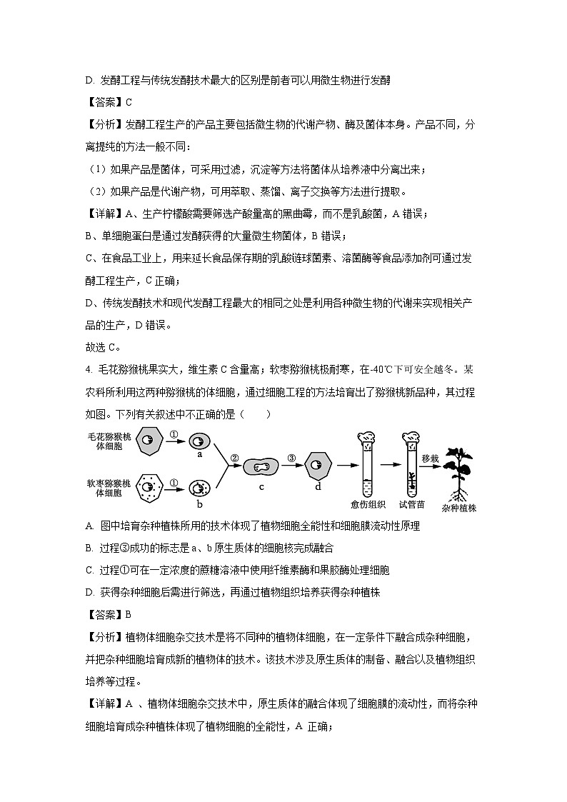 河南省南阳市六校2024-2025学年高二下学期5月第二次联考生物试卷（解析版）第3页