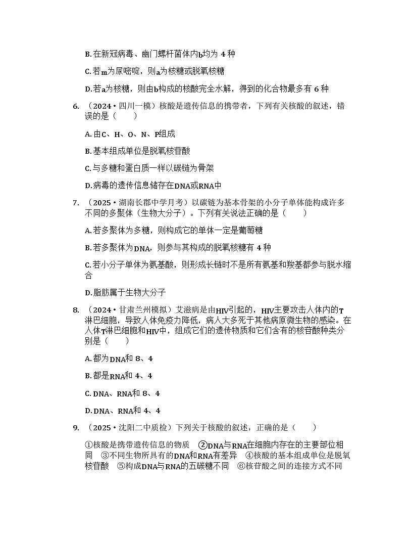2026届高考生物一轮基础复习训练4 核酸是遗传信息的携带者第2页