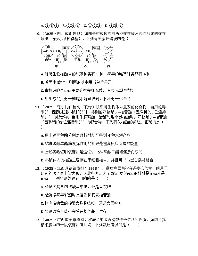 2026届高考生物一轮基础复习训练4 核酸是遗传信息的携带者第3页